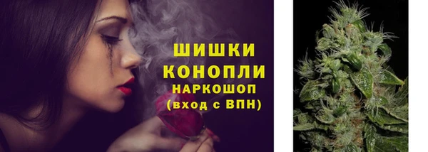шишки Волосово