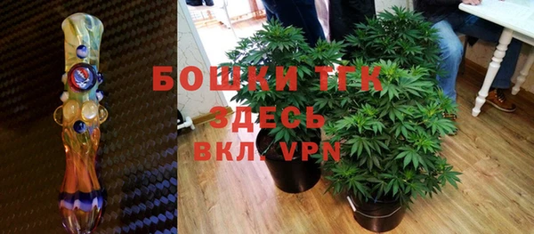 шишки Волосово