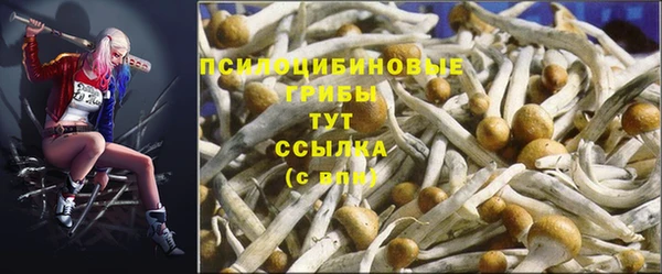 шишки Волосово